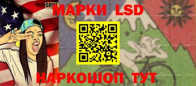 МДПВ Новозыбков