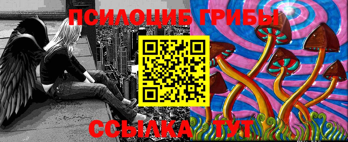 Славгород  Галлюциногенные грибы Cubensis  Вход с VPN 
