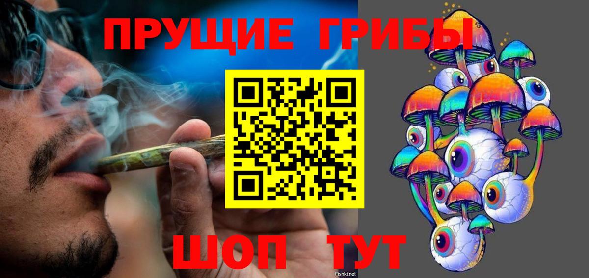 Галлюциногенные грибы Psilocybine cubensis Славгород